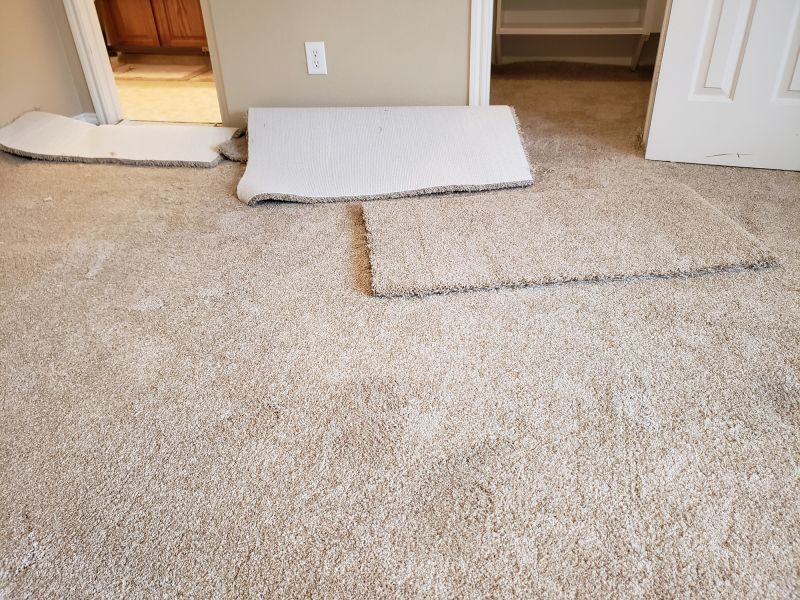 Carpet Foam Replacement in Denver County, CO