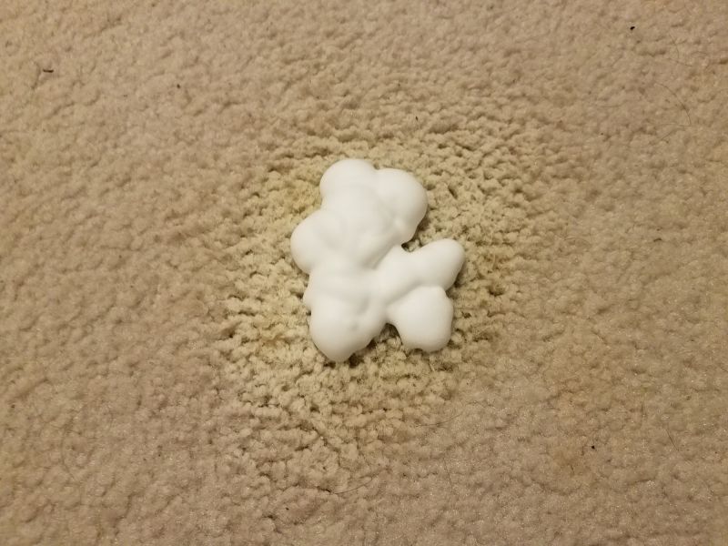 Pet Stain Carpet Repair in Littleton, CO