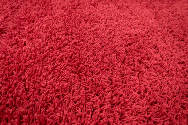 Pet Stain Carpet Repair in Littleton, CO