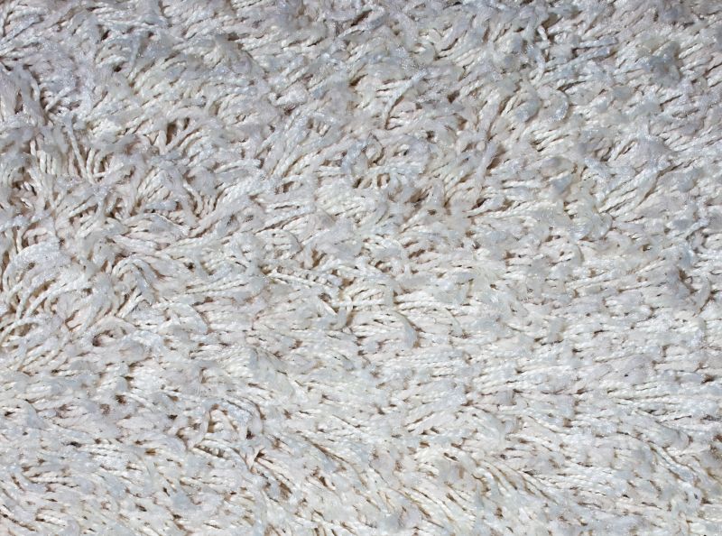 Pet Stain Carpet Repair in Littleton, CO