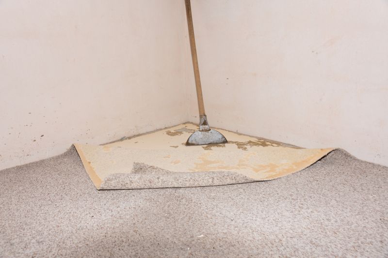 Carpet Hole Repair in Olathe, KS